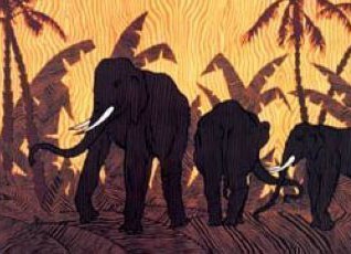 afrique01.jpg