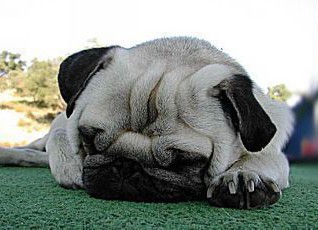 fatigue.jpg
