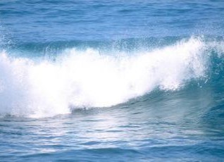 mer01.jpg