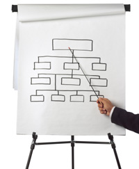 organisation-web.png