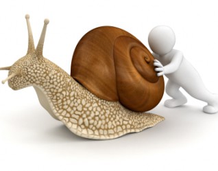 slow-down.jpg