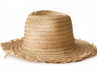 summer.jpg