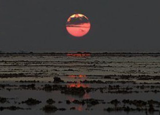 sunset008.jpg