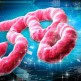 ebola
