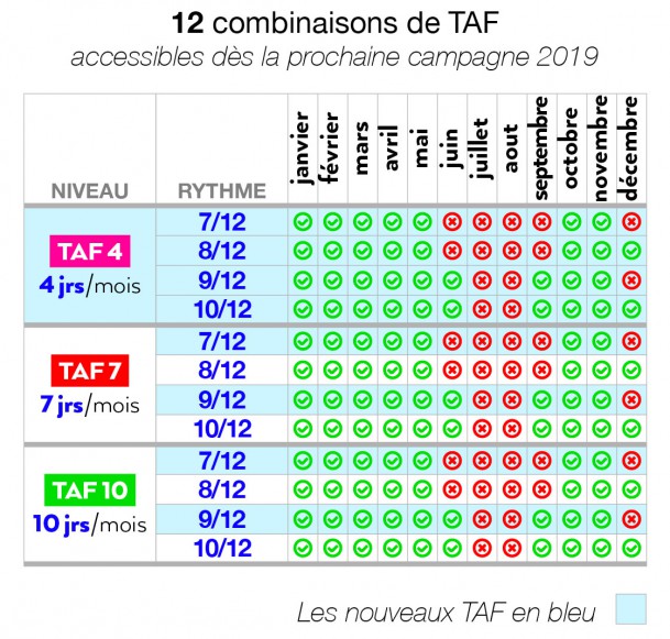 12_TAF